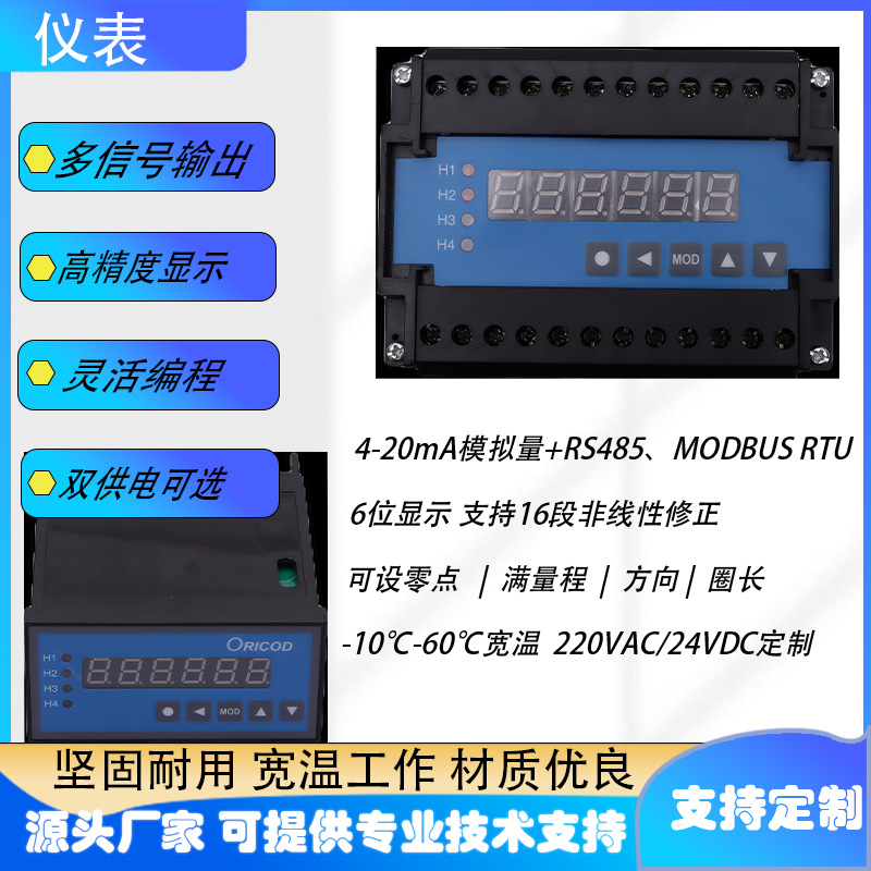DXM1312系列SSI信号仪表模块